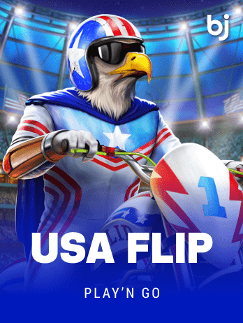 USA Flip icon